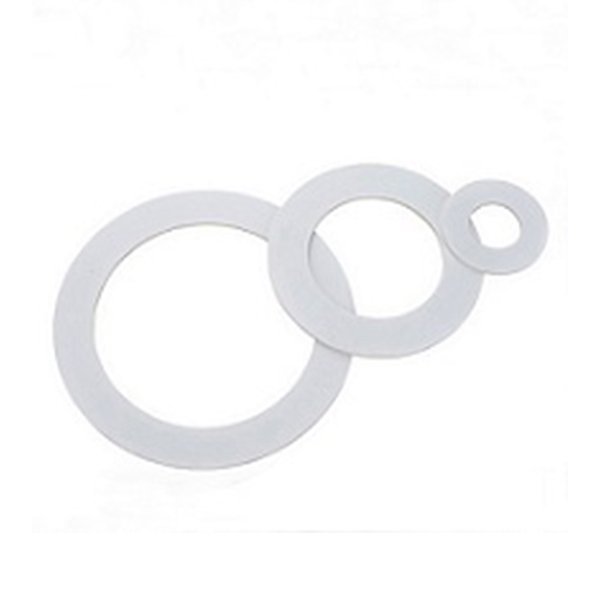 Expanded PTFE Gasket