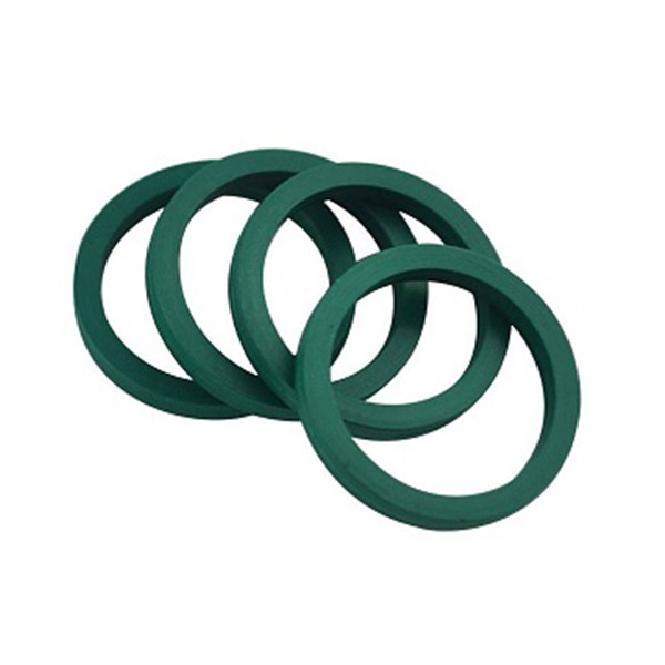 Fluorine Rubber Gaskets